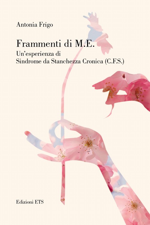 Copertina &middot; Frammenti di M.E.