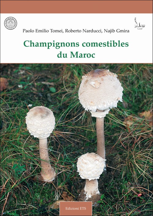 Copertina &middot; Champignons comestibles du MarocFunghi commestibili del Marocco