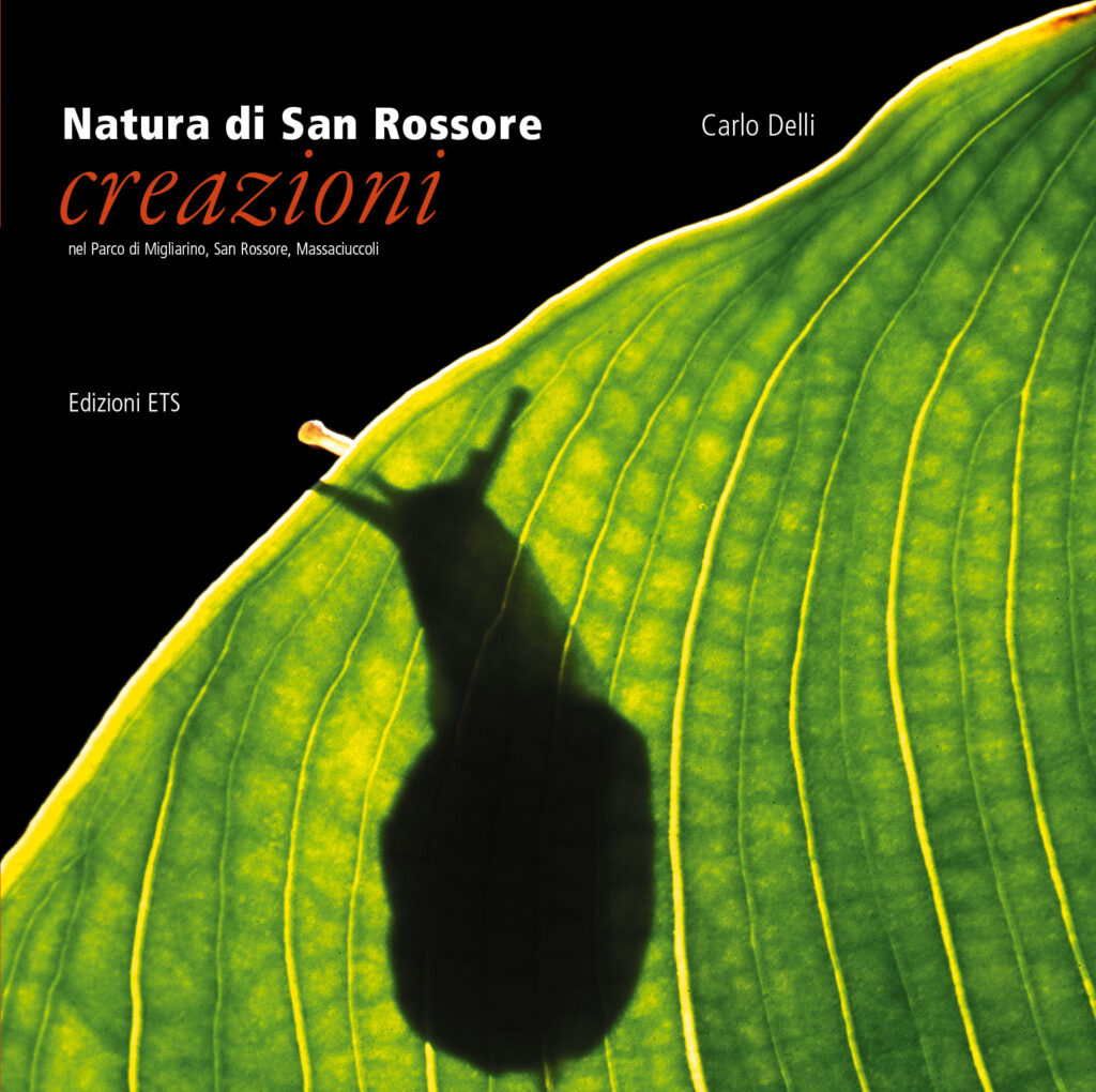 Copertina &middot; Natura di San Rossore. Creazioni