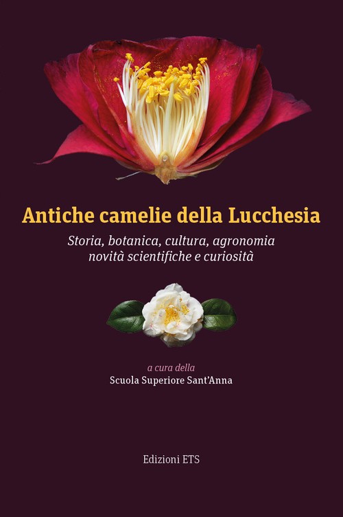 Copertina &middot; Antiche camelie della Lucchesia