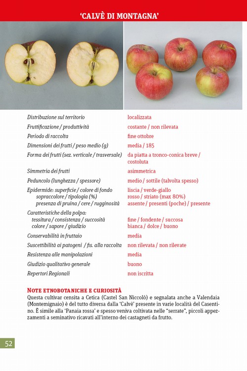 Copertina &middot; Alla riscoperta della frutta antica del Casentino