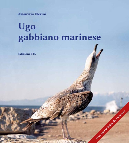 Copertina &middot; Ugo gabbiano marinese