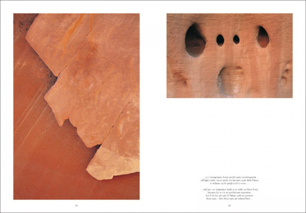 Copertina &middot; Details of Wonder