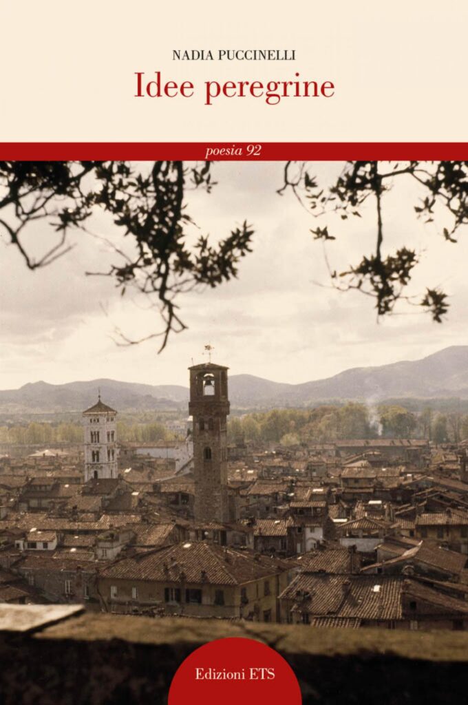 Copertina &middot; Idee peregrine