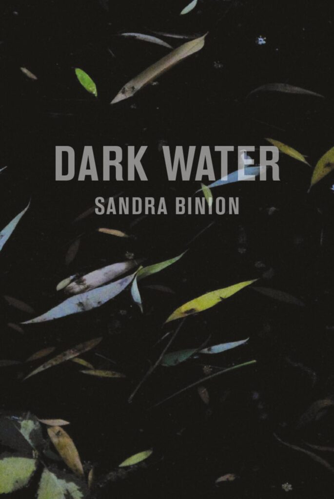 Copertina &middot; Dark Water