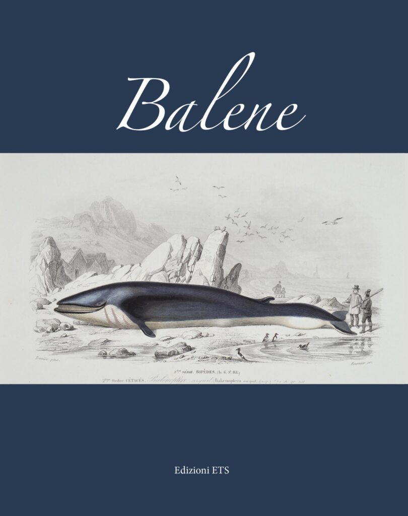 Copertina &middot; Balene