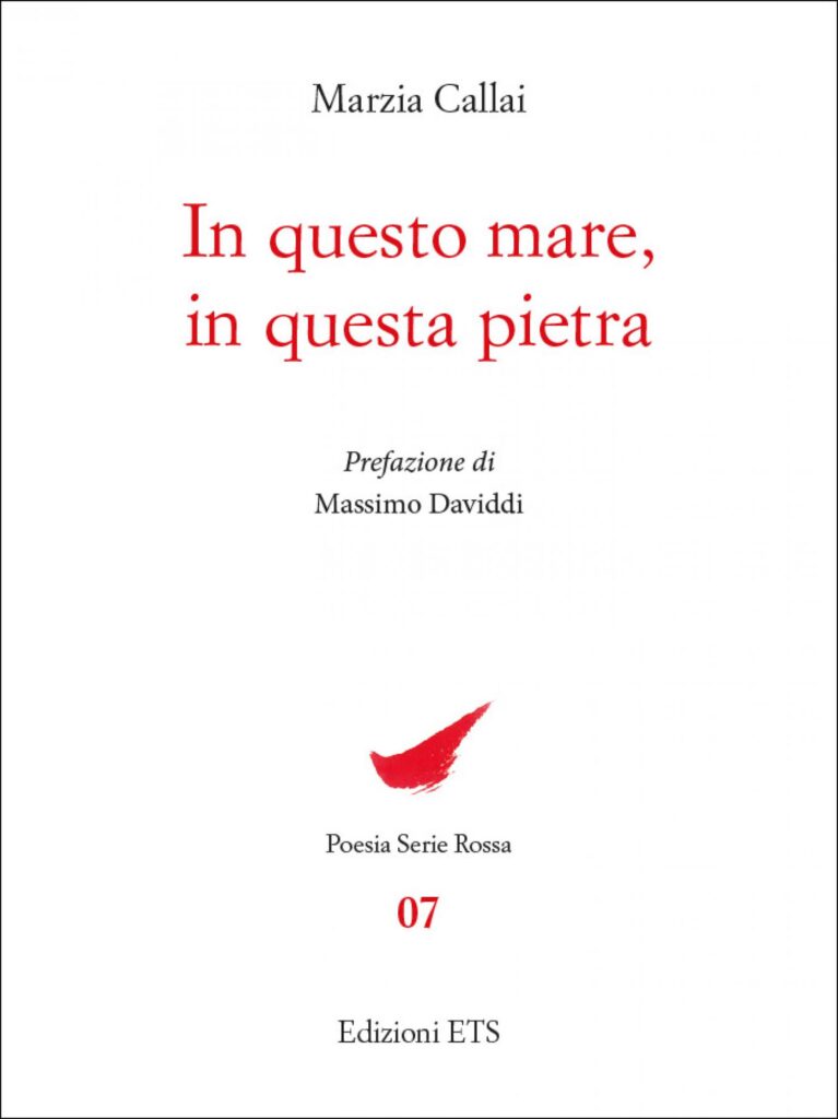 Copertina &middot; In questo mare, in questa pietra