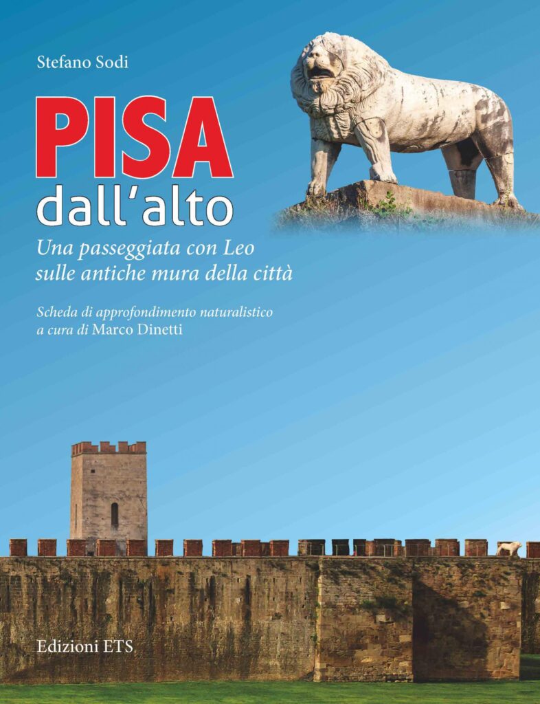 Copertina &middot; Pisa dall&rsquo;alto 