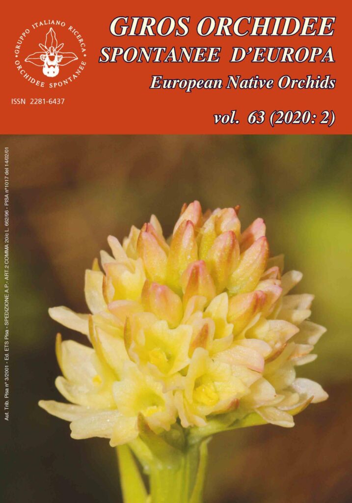 Copertina &middot; Orchidee spontanee d&rsquo;Europa 2/2020