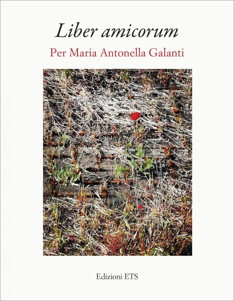 Copertina &middot; <em>Liber amicorum</em>