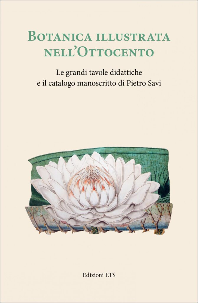 Copertina &middot; Botanica illustrata nell'Ottocento