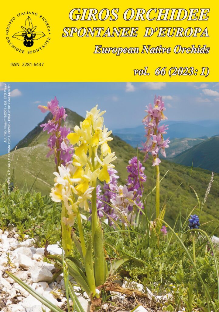 Copertina &middot; Orchidee spontanee d'Europa 1/2023