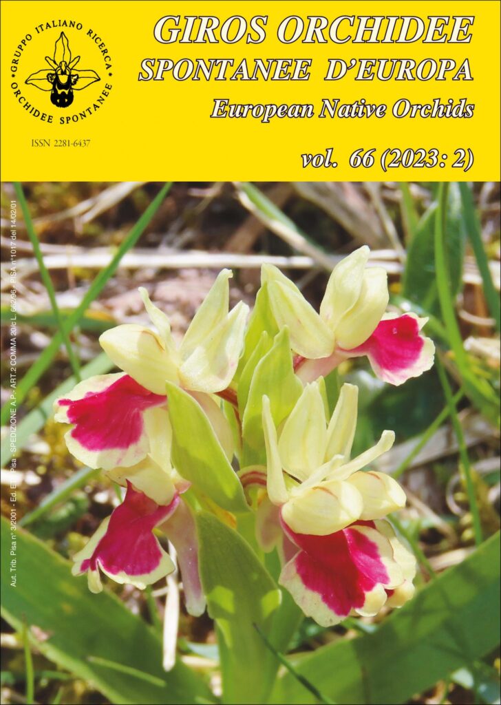 Copertina &middot; Orchidee spontanee d'Europa 2/2023
