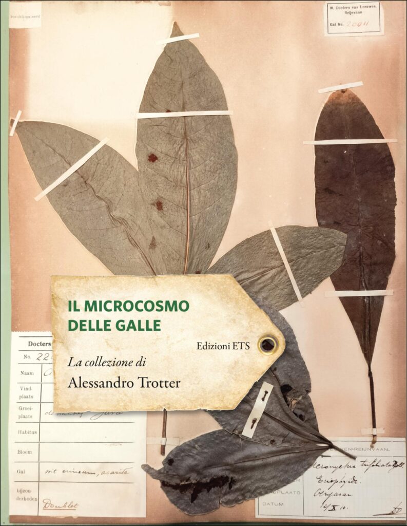 Copertina &middot; Il microcosmo delle galle