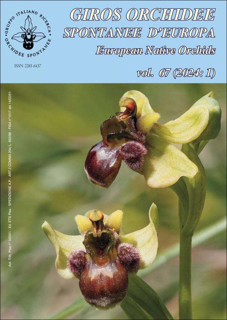 Copertina &middot; Orchidee spontanee d'Europa 1/2024