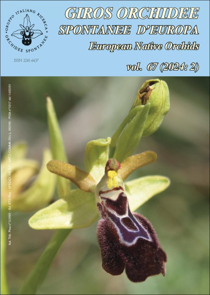 Copertina &middot; Orchidee spontanee d'Europa 2/2024