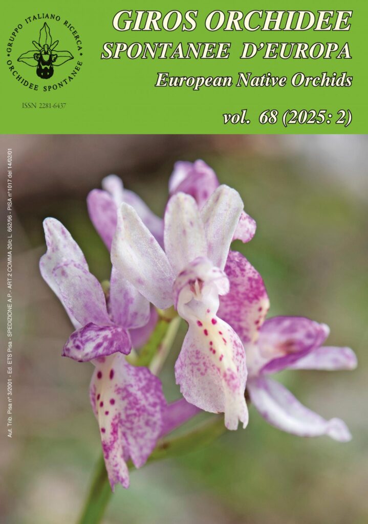 Copertina &middot; Orchidee Spontanee d&rsquo;Europa 2/2025