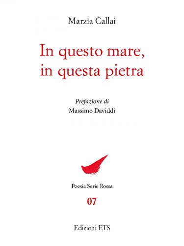 Copertina &middot; In questo mare, in questa pietra